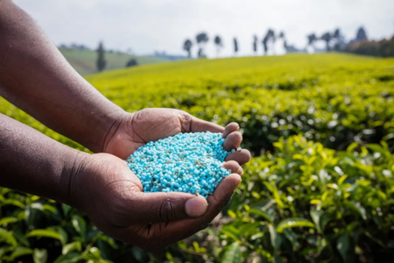 ஆர்சிஎஃப்எல் 2026: மேலாண்மை பயிற்சியாளர் பணியிடங்கள் அறிவிப்பு, விண்ணப்பங்கள் ஆகஸ்ட் 8-ல் தொடங்கும்