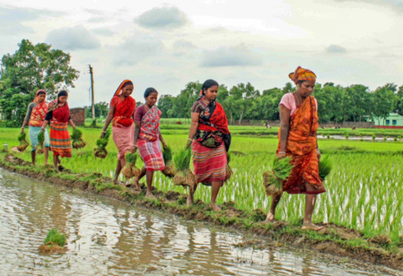 மேற்கு பெங்கால்: குடியிருப்புப் பணியாளர்கள் குடும்பங்களுக்கு வேலை வாய்ப்பு அட்டை வழங்கும் அரசு