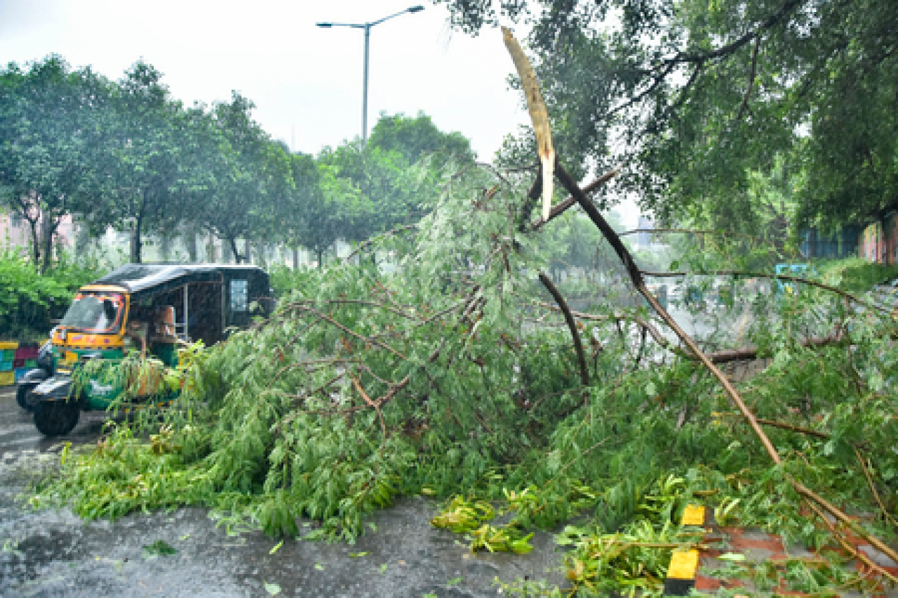 आंध्र प्रदेश में ‘अर्नब’ से नुकसान का जायजा लेने के लिए केंद्रीय दल का दो दिवसीय दौरा शनिवार से